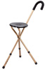 Adjustable Seat Cane