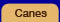 Canes